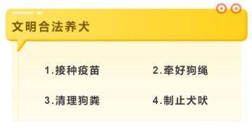 广州养犬证办理,宠物狗怎么办理养犬证
