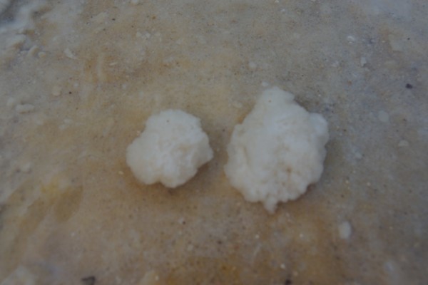 以色列死海全景图,以色列死海旅游攻略