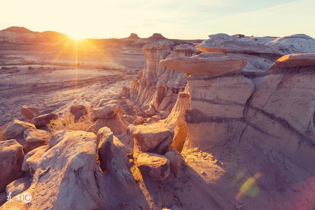 小说:人不能不记恩,不记好,否则连那看家护院的狗都不如