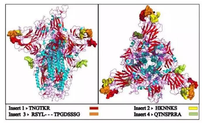 新冠病毒是谣言吗,新冠病毒来自太空是怎么来的