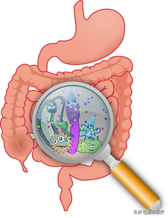 冰淇淋会有细菌么,冰淇淋细菌感染