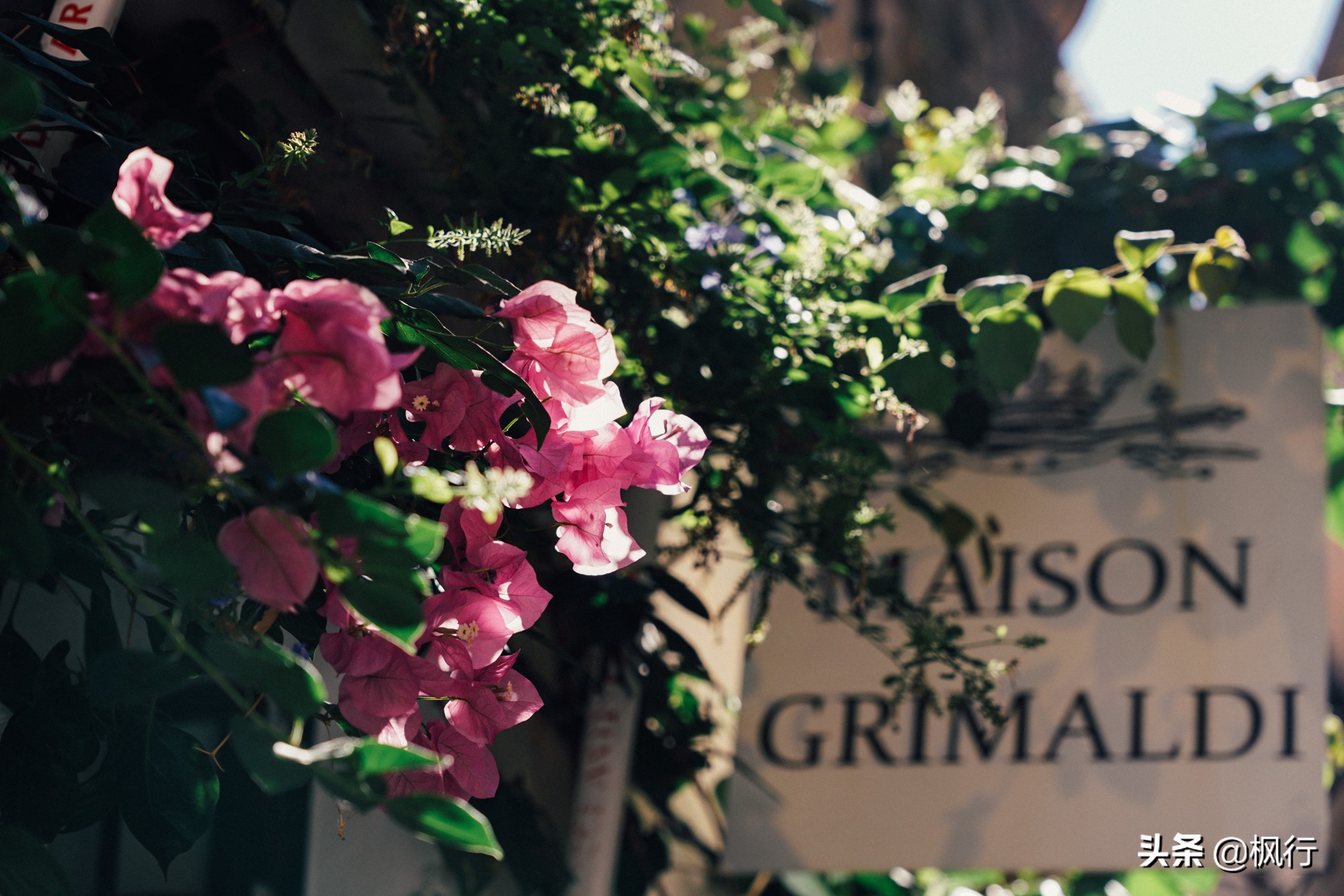 比巴黎还浪漫的魁北克,比巴黎还浪漫的地方