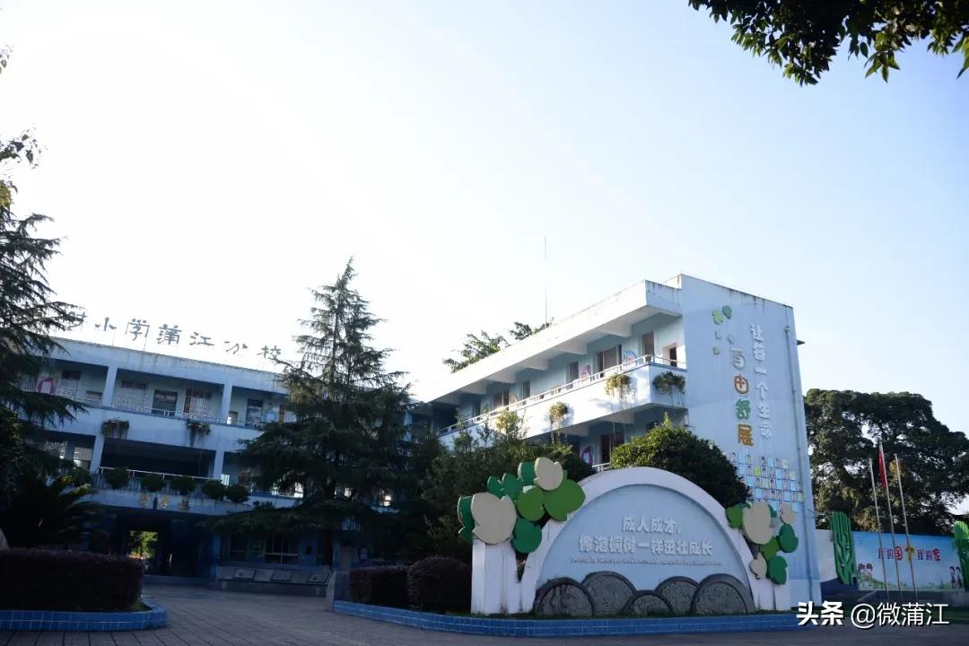 泡桐树小学蒲江分校图片,泡桐树小学蒲江分校怎么样