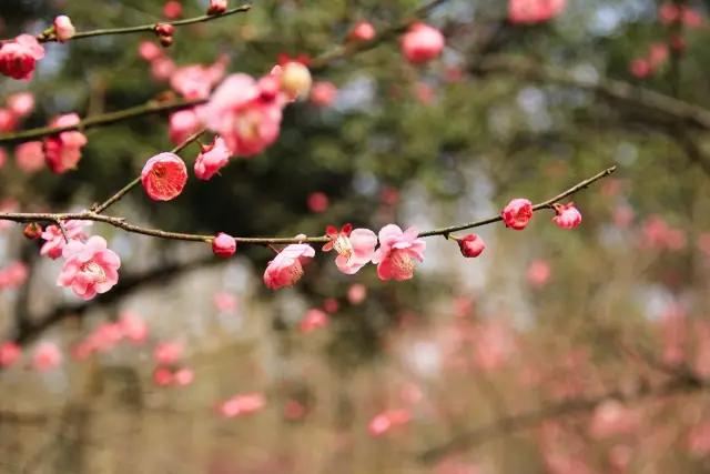 昆明周边60座山峰徒步,昆明徒步登山推荐看日落