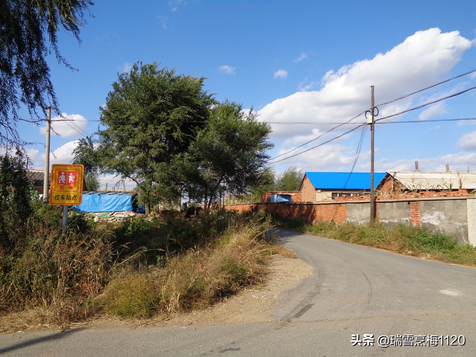 沈北新区依路村,沈北新区马刚乡地图