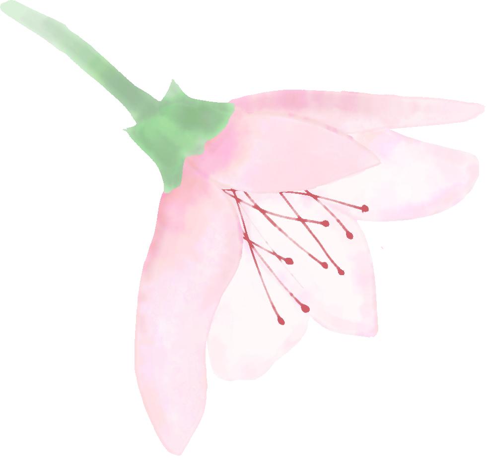 老人得了盆腔肿瘤能活多久,老人卵巢10厘米肿瘤