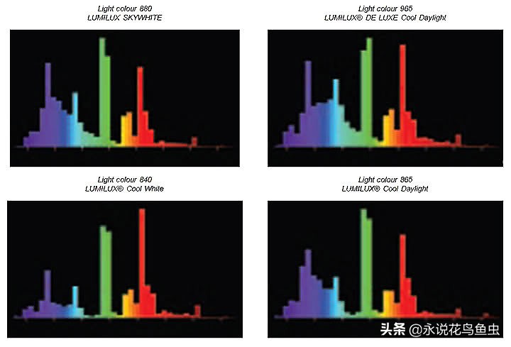 t5灯管适合鱼缸养水草用吗,水草缸t5灯管如何配置