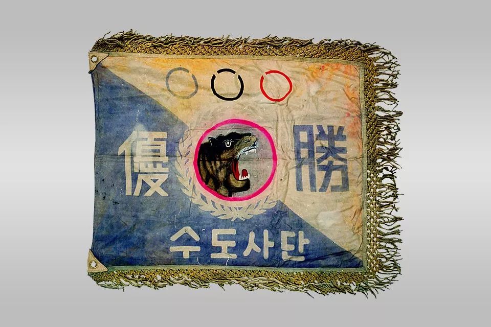 中国粉丝给韩国士兵送礼物,中国粉丝给韩国军队送物资