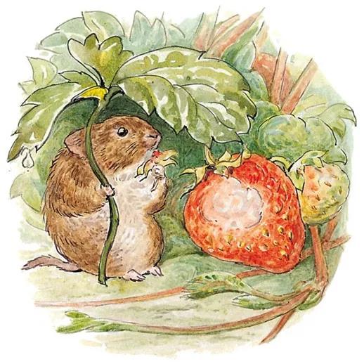 彼得兔的花园该怎么做,彼得兔的花园视频