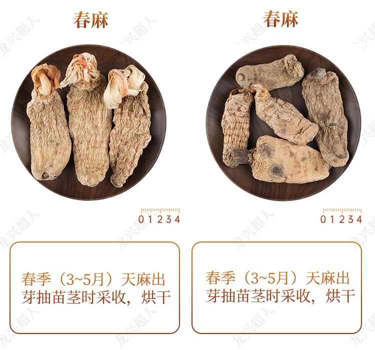 达州道地药材天麻,正宗中药材天麻