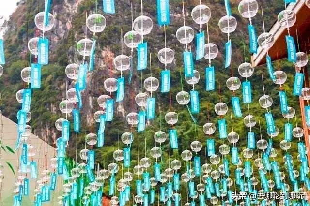 最新元旦增城大埔围花海门票,增城大埔围花海樱花节门票