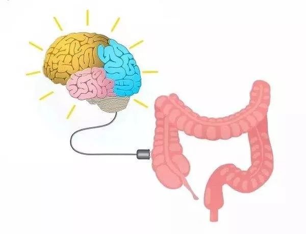 便秘的主要因素,女性便秘发病率高