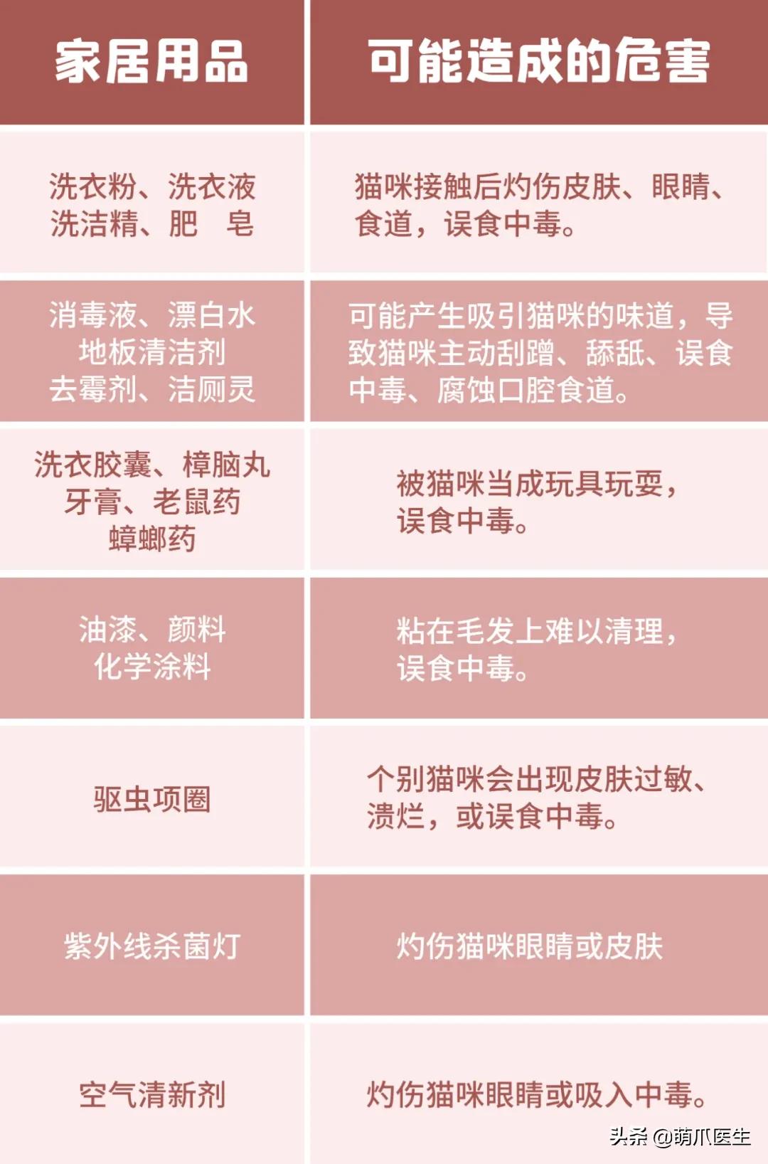 猫咪一不小心被水烫到,盘点猫咪被烫过的倒霉瞬间