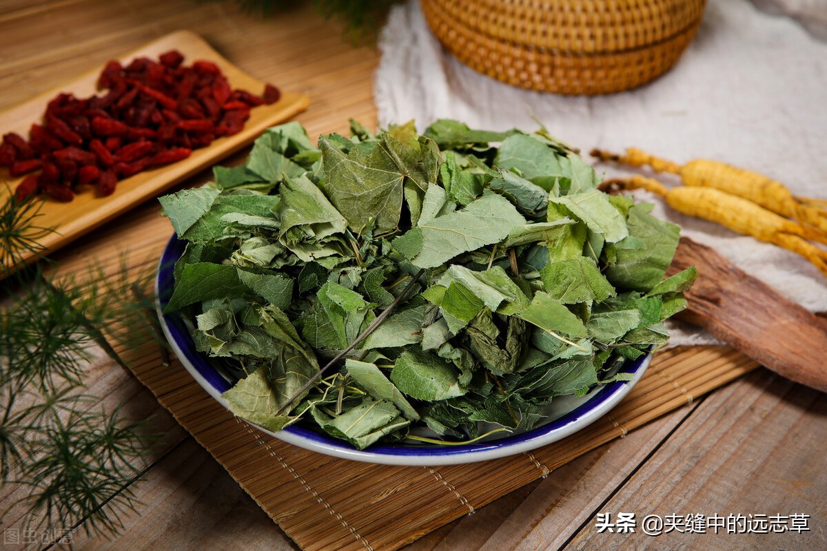 中医骨质疏松吃什么中草药,中医骨质疏松中药调理方法