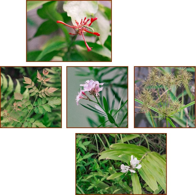 深圳宝安喝茶的世外桃源,宝安西乡世外桃源