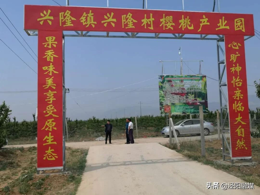 吃樱桃的注意事项图文,吃樱桃的注意事项