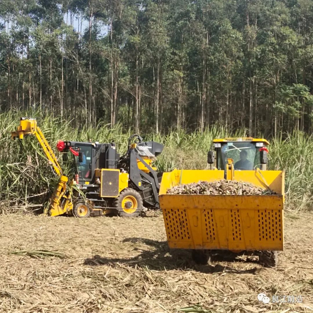 来宾市兴宾区脱贫,兴宾区乡村振兴