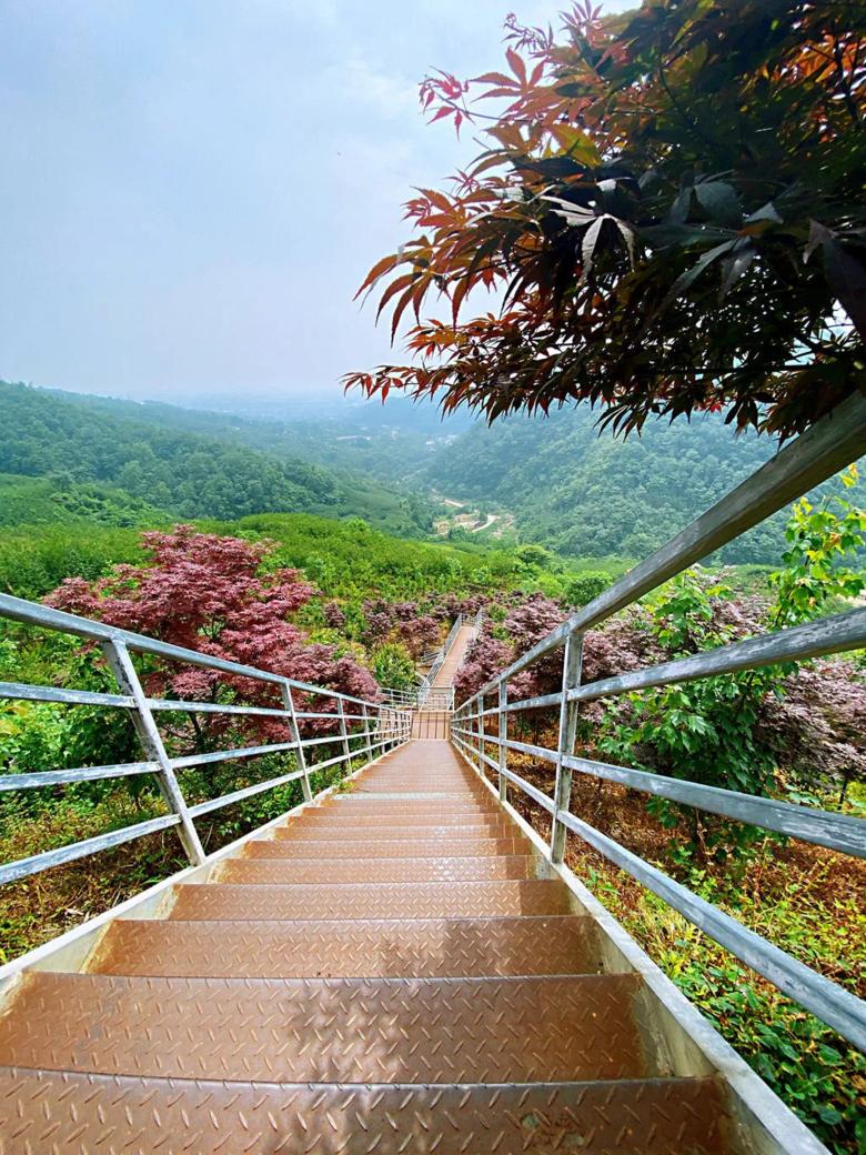 成都周边旅游4-5天推荐地方,成都周边三日游攻略最佳线路2021