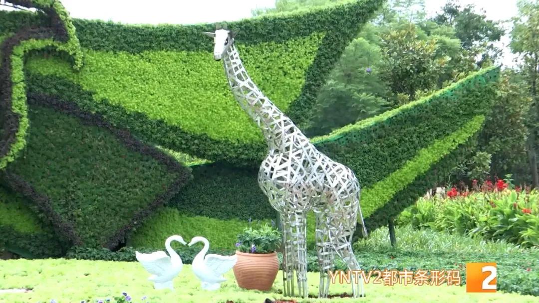 昆明100个立体花坛位置,昆明cop15立体花坛