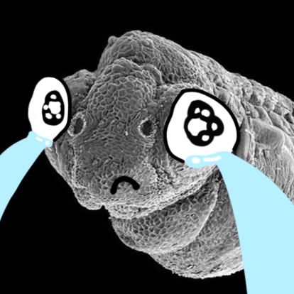 美白精华测红榜,所有美白精华测试