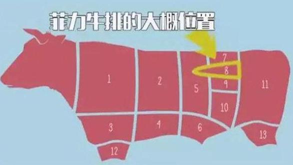 牛排菲力和肉眼有什么区别,眼肉和菲力的区别