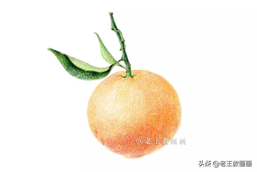 橘子彩铅手绘过程详解,超详细的彩铅橘子教程