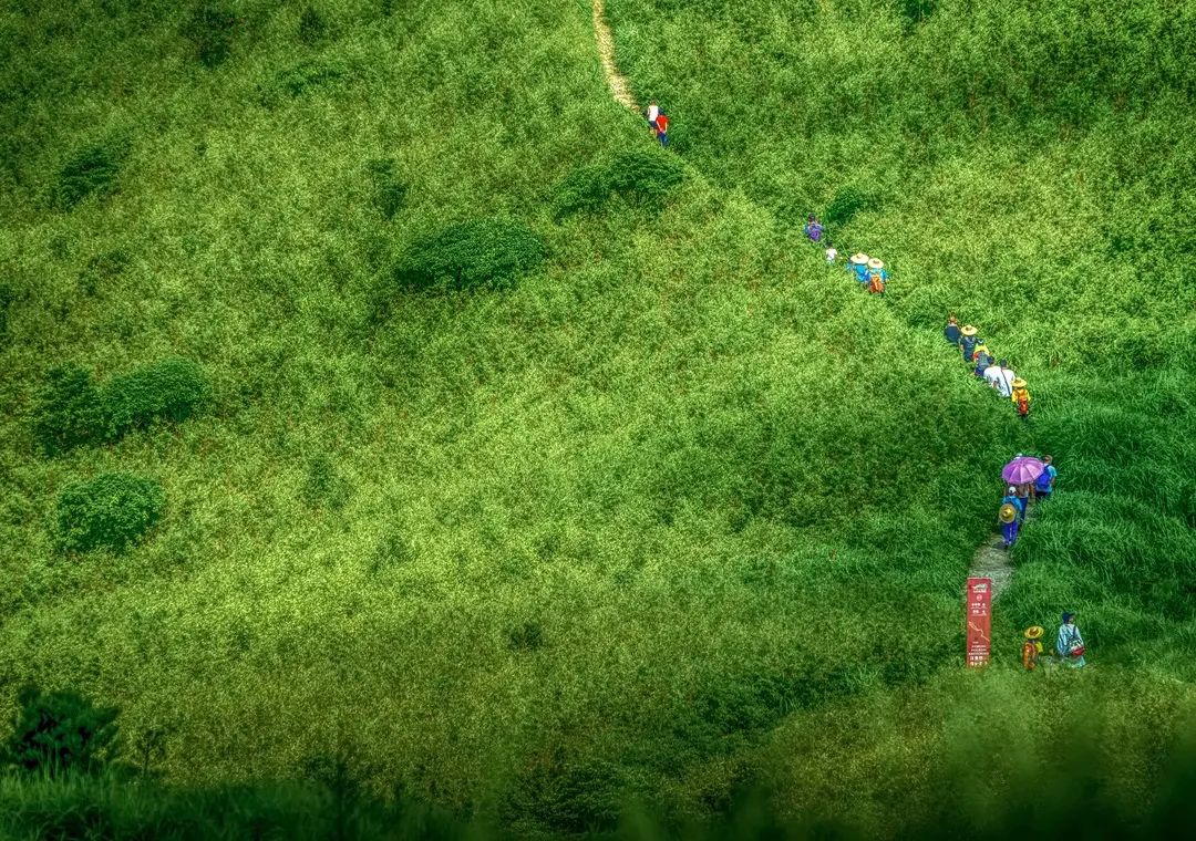 中国天然氧吧在惠州哪里,惠州大自然氧吧