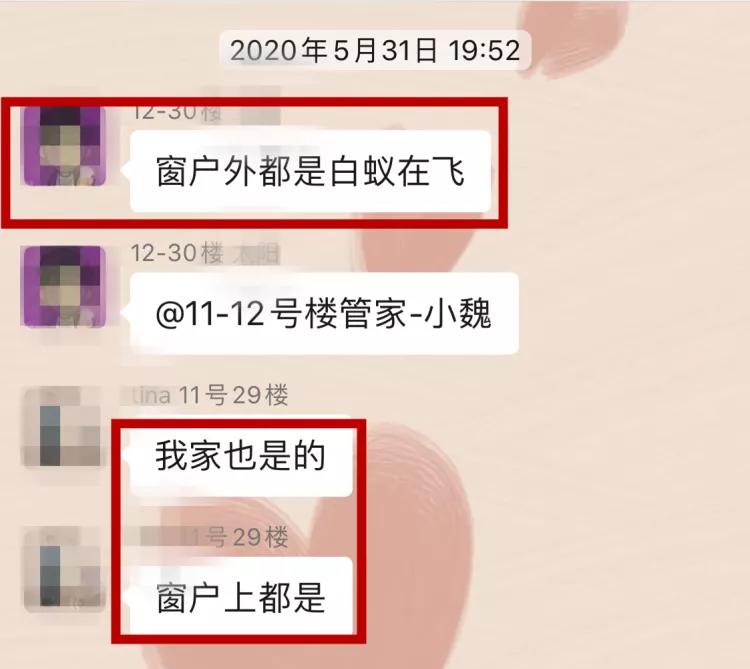 白蚁上门防治必看,全国白蚁防治中心官方网站