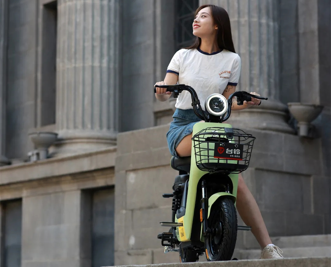 推荐一款可上路的新国标电动车,新国标电动车最便宜车型