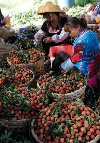 距海南仅20km，这个处女地比台湾风情、比三亚便宜，你错过了吗？