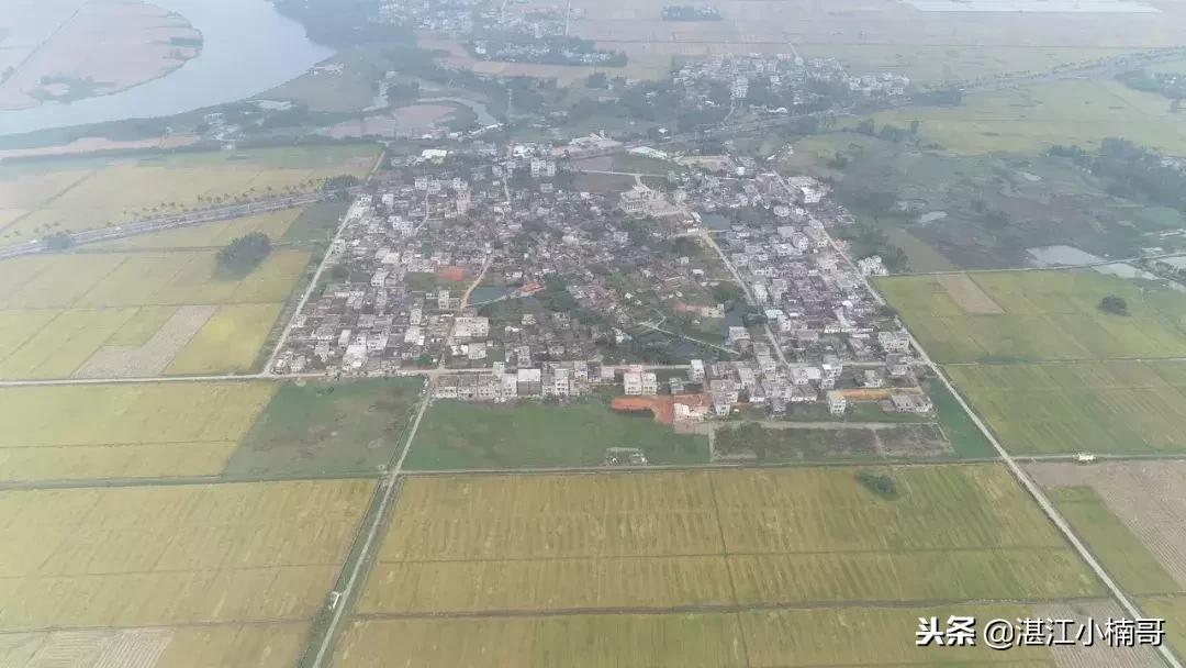 广东湛江革命村视频,湛江革命老区名单