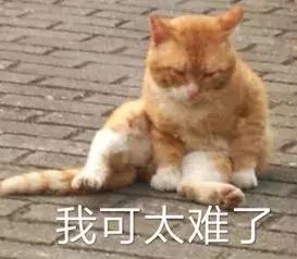 奇葩男让丈母娘买车,奇葩丈夫要求女方买房