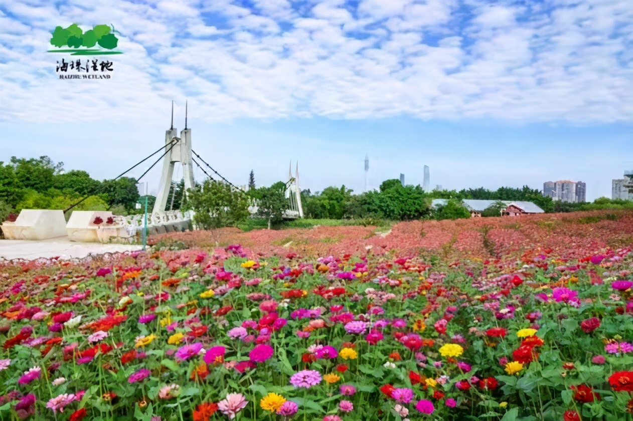 必打卡的宝藏公园,这些宝藏打卡地分分钟让人美到