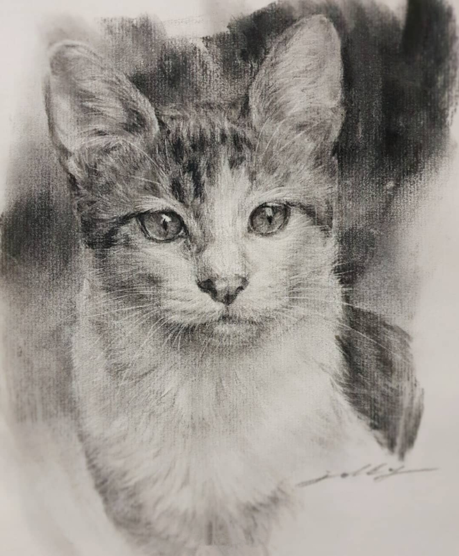 动物世界手绘画,写实素描动物插画教程