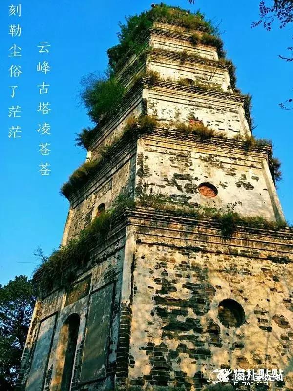 澳洲电台歌曲排行榜,澳洲广播电台在线收听