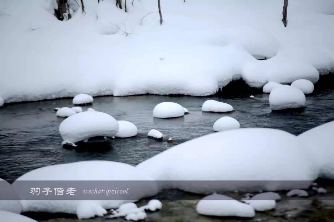 不会日语日本自由行好吗,不会日语的北海道自由行攻略