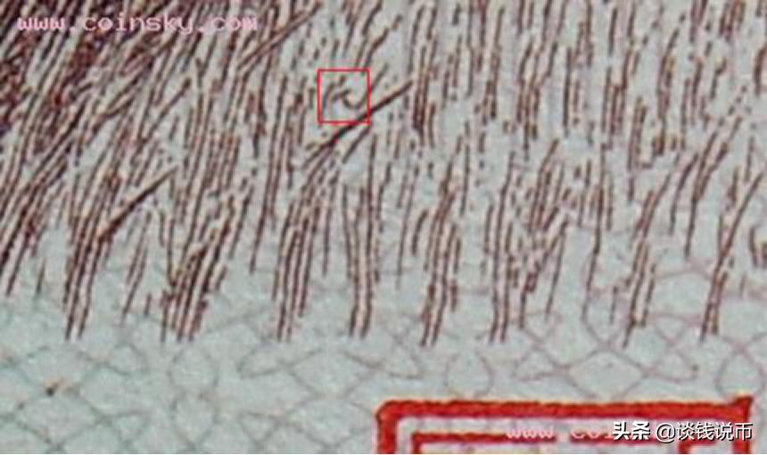 第三套人民币样币真品正背图片,第三套人民币五元版别