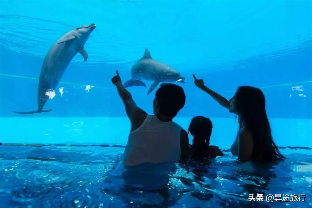 珠海长隆水上乐园刺激儿童也能玩,珠海长隆水上乐园空中旋转