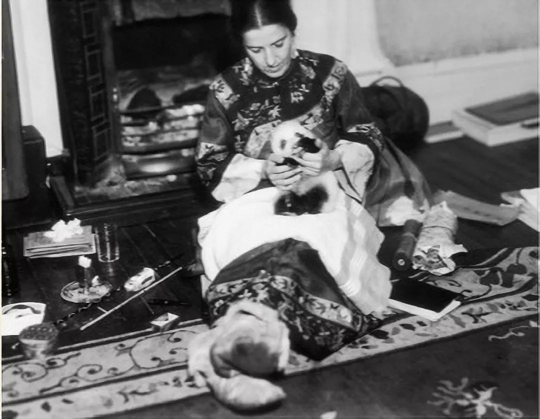 中国大熊猫为什么只有中国有,为什么大熊猫在国内这么受欢迎