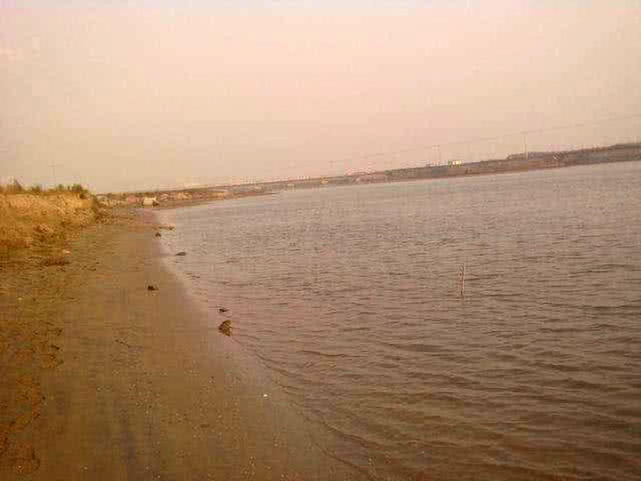 盐沟里钓“光鱼”，体形似胡萝卜，有点虎头蛇尾的感觉