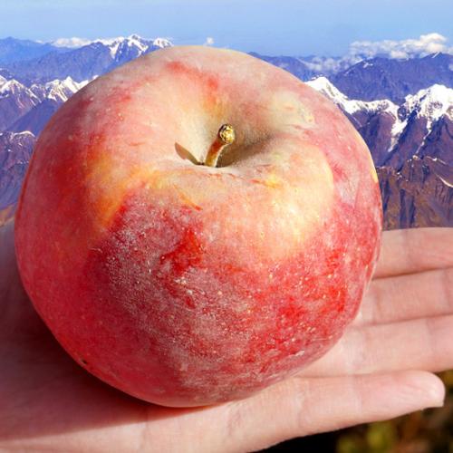 孩子爱吃甜食一嘴小黑牙，此招一出，父母小孩都快乐