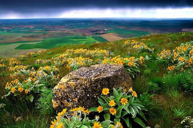 36岁生日致自己的一段话,写在39岁生日的自己