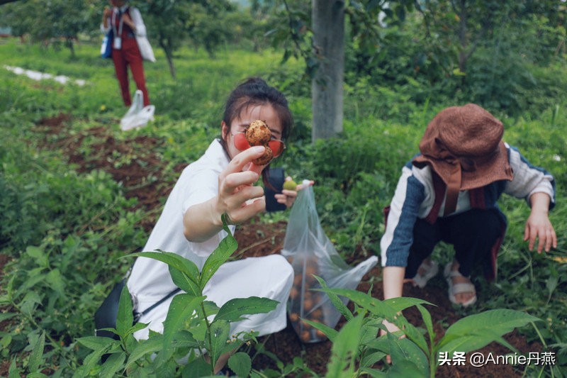 距离重庆最近的避暑城市,离主城近的夏日重庆避暑圣地