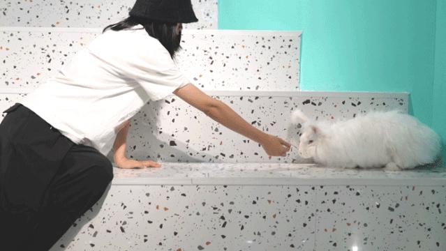 汉口宝藏,汉口宝藏小店