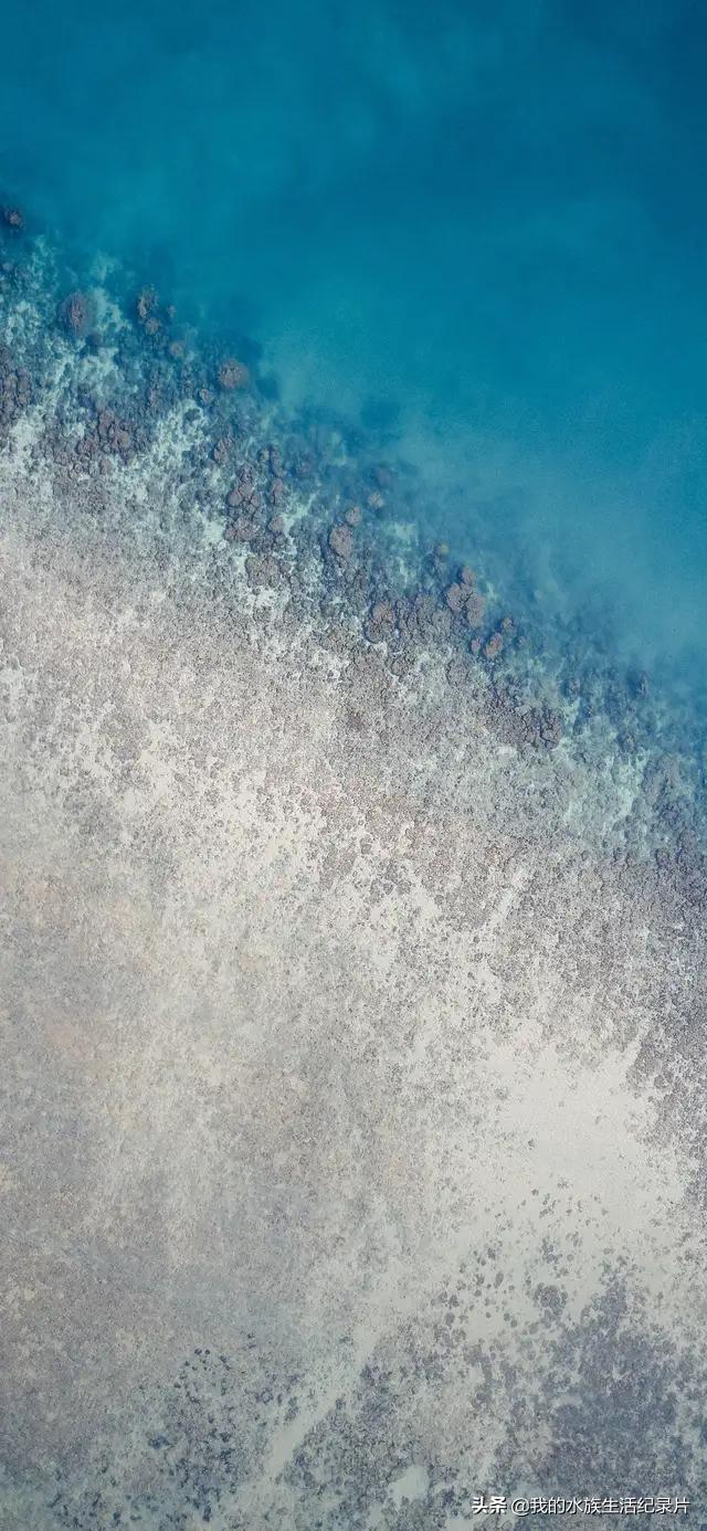 超高清海洋沙滩风景壁纸全屏,壁纸分享特别的海洋壁纸