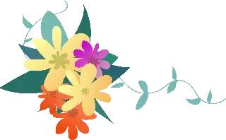 惠州两癌筛查免费要具备什么条件,两癌筛查免费政策包括hpv吗