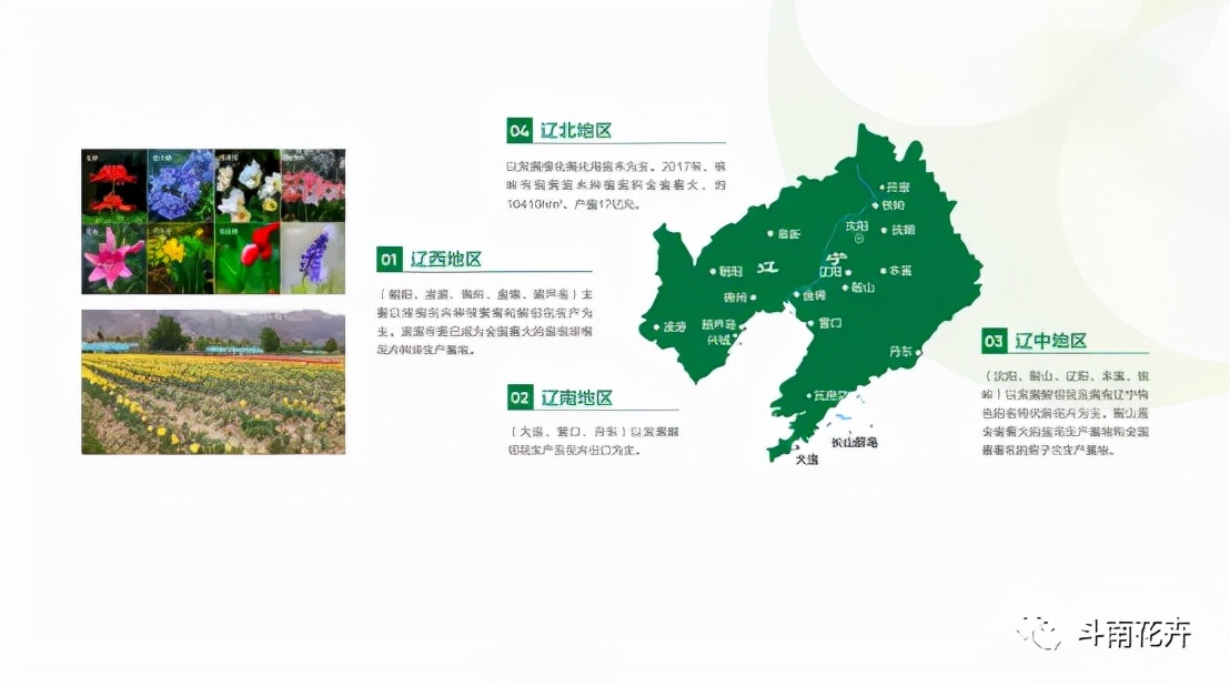 斗南花卉东北交易中心落地沈阳,沈阳斗南花卉批发