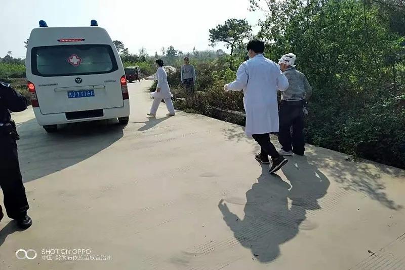 贵州一黄牛发疯,贵州一牛发疯撞人