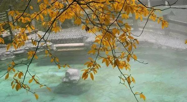 如果2月可以畅快出行，我真想走遍国内这9个地方