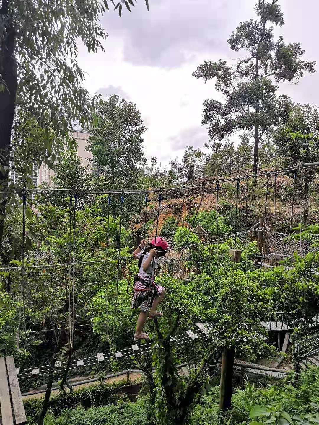 亲子户外丛林探险,原始森林亲子探险